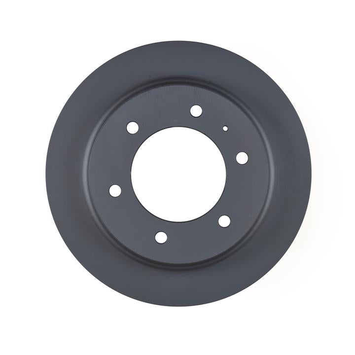 RDA OE Replacement Brake Rotor Single 313mm Front RDA841
