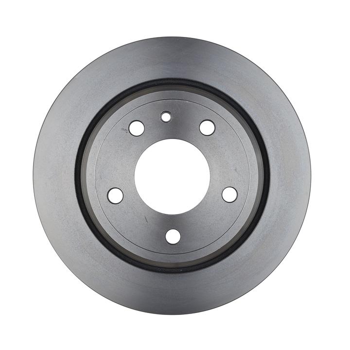 RDA OE Replacement Brake Rotor Single 300mm Rear RDA973