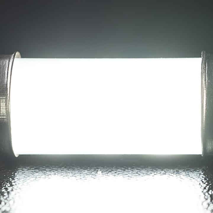 STEDI Festoon Light Globe 36mm 2 Pack LED LEDCONVSJ36MM