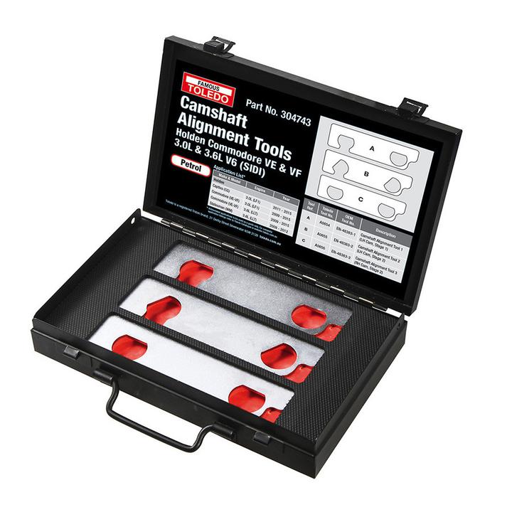 Toledo Camshaft Alignment Tools 304743