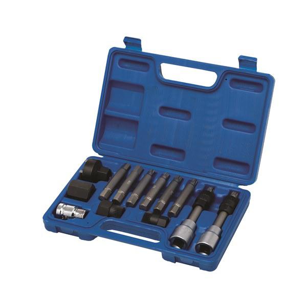 Toledo Alternator Bit Set 302005