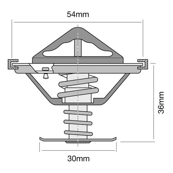 Tridon Thermostat Blister Pack (High Flow) TT307-180
