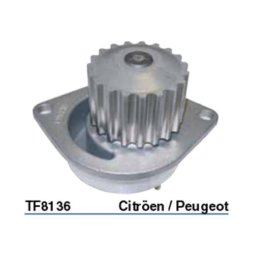 Tru-Flow Water Pump (Saleri Italy) TF8136