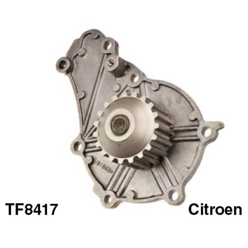 Tru-Flow Water Pump (Saleri Italy) TF8417