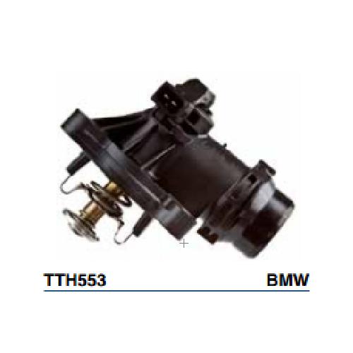 Tru-Flow Thermostat & Housing TTH553