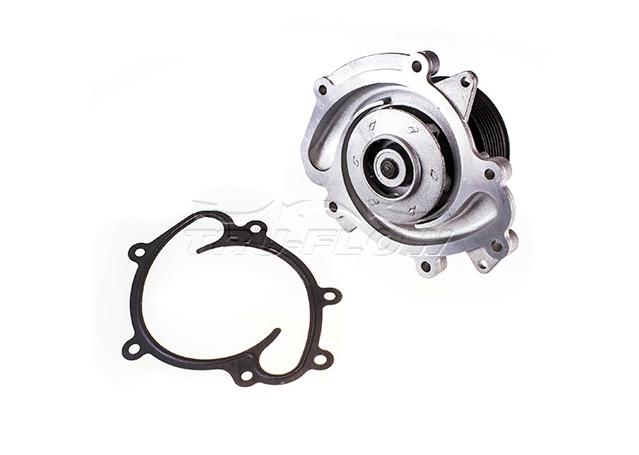 Tru-Flow Water Pump (Saleri Italy) TF8431