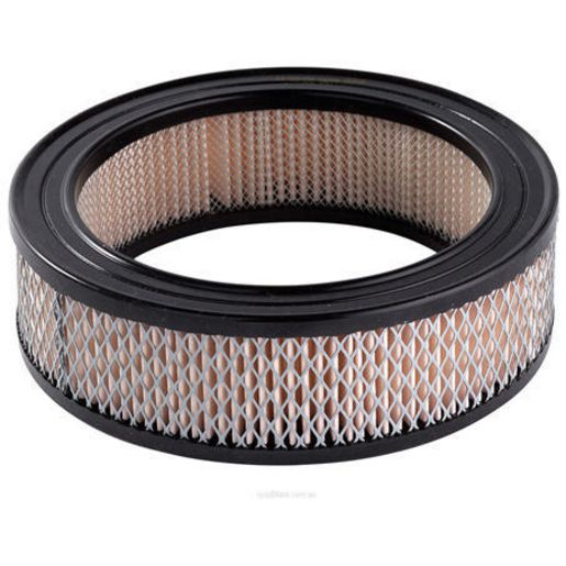 Ryco Air Filter A100