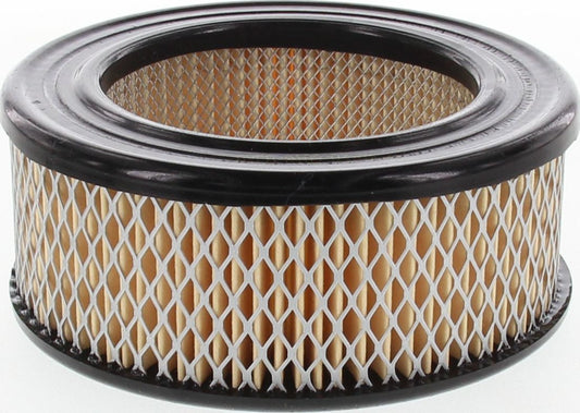 Ryco Air Filter A109
