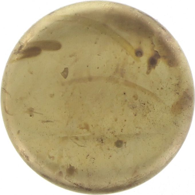 Kelpro Welch Plug Cup 2-1/16in. Brass RBC20116