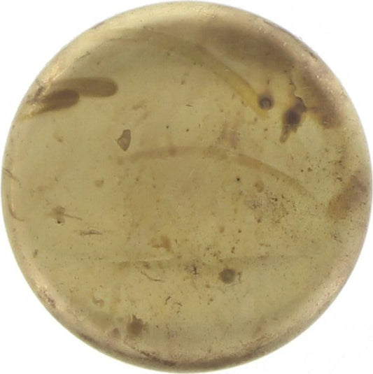Kelpro Welch Plug Cup 2-1/16in. Brass RBC20116