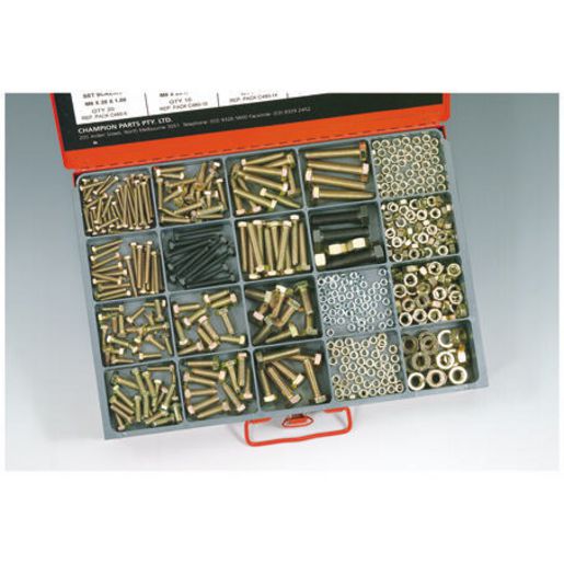 Champion Screw, Bolt & Nut Fine Pitch Master Assortment Kit Metric 17 Sizes 480Pk CA480