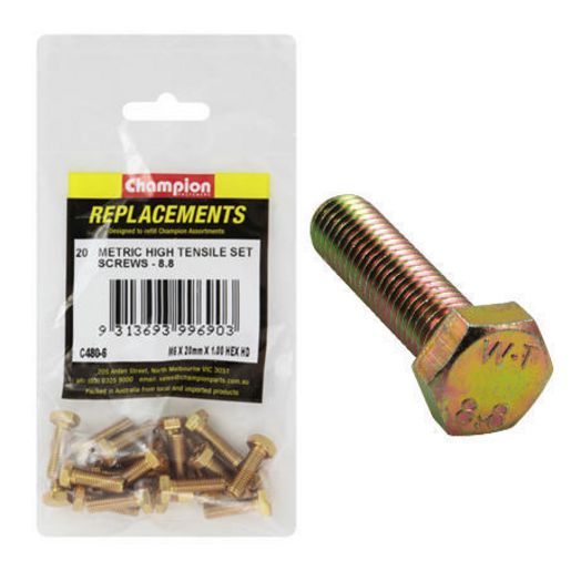 Champion Hex Screw Set HT M6 x 20mm 20Pk C480-6