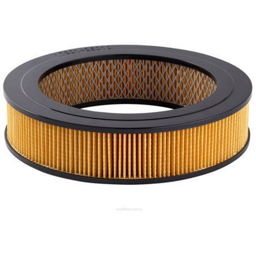 Ryco Air Filter A87A