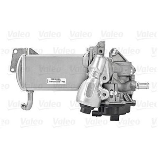 Valeo EGR Valve 700438