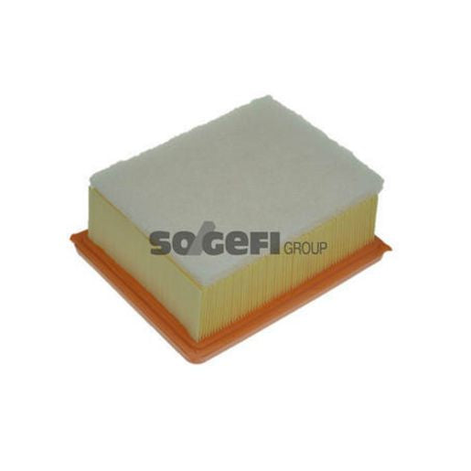 Purflux Air Filter A1097