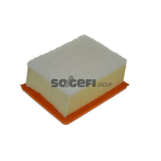 Purflux Air Filter A1159
