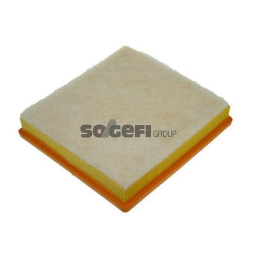 Purflux Air Filter A1161