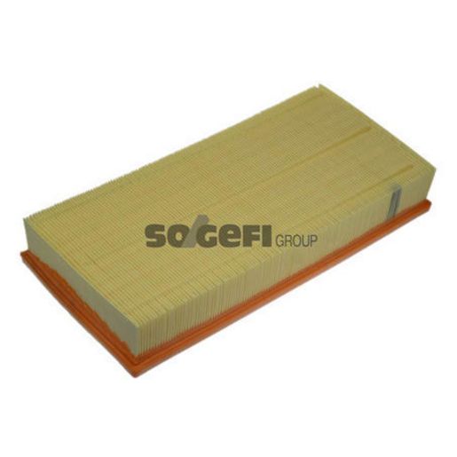 Purflux Air Filter A1255