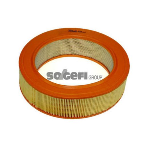 Purflux Air Filter A604