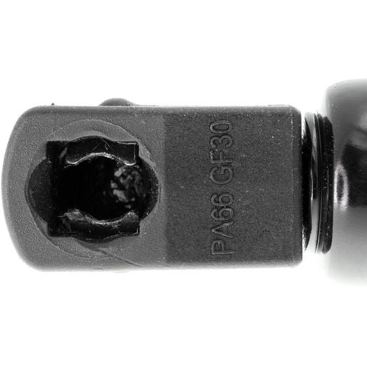 VAICO Boot Strut V10-1966
