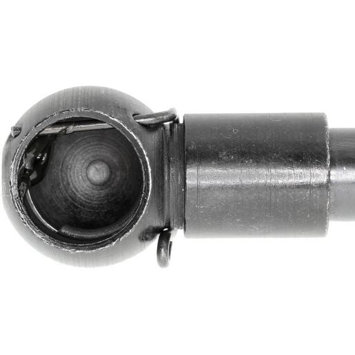 VAICO Tailgate Strut V95-0191
