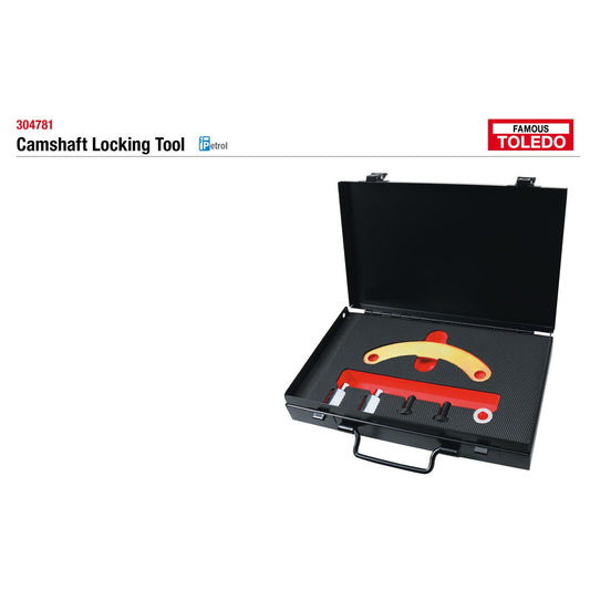 Toledo Timing Tool Kit 304781