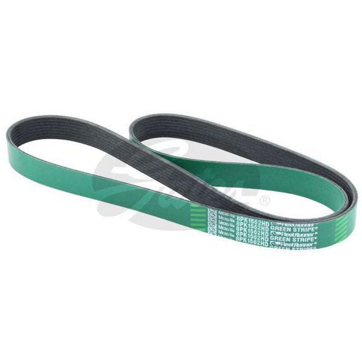 Gates Heavy Duty Micro-V Belt 8PK1562HD