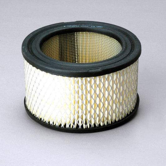 Donaldson Air Filter P607234