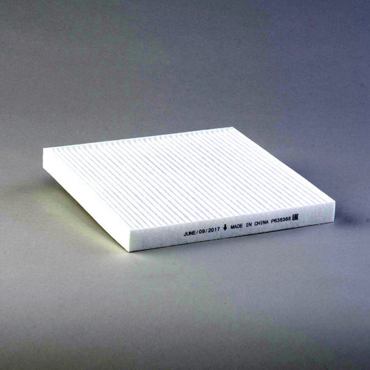 Donaldson Air Filter P636368