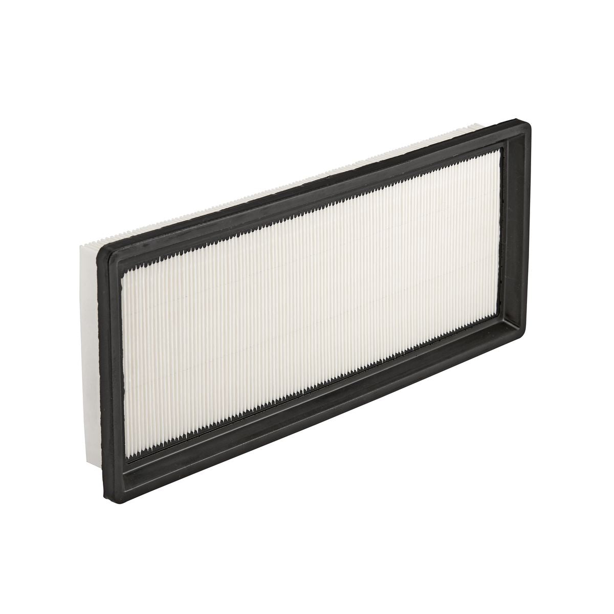 Ryco Air Filter