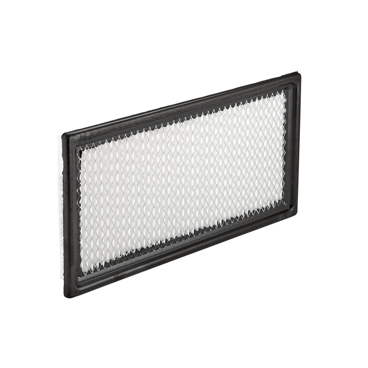 Ryco Air Filter