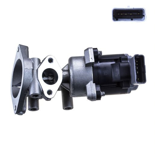 Fuelmiser EGR Valve Valeo FEGR124