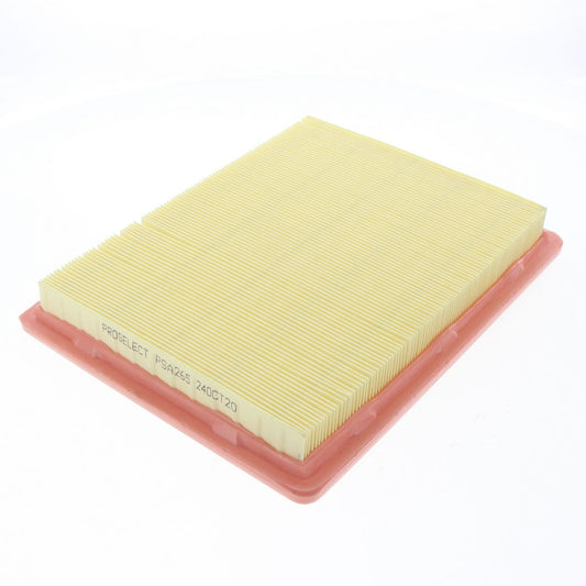Proselect Air Filter PSA265