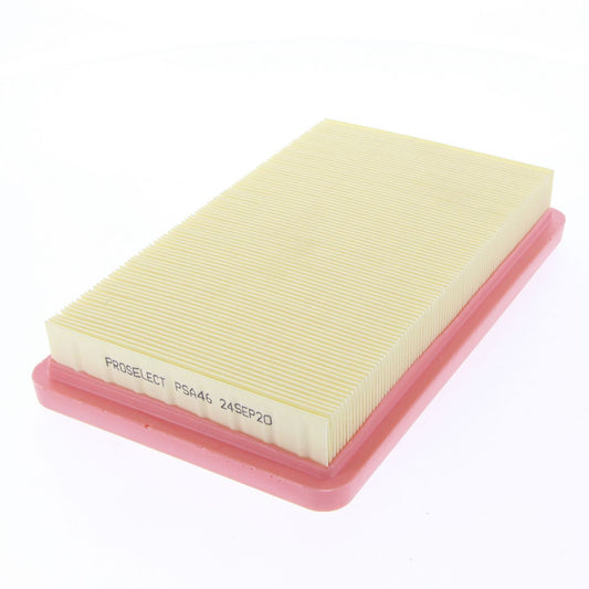 Proselect Air Filter PSA46