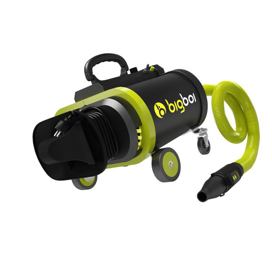Bigboi BlowR Pro+ Touchless Dryer BLOWRPRO+