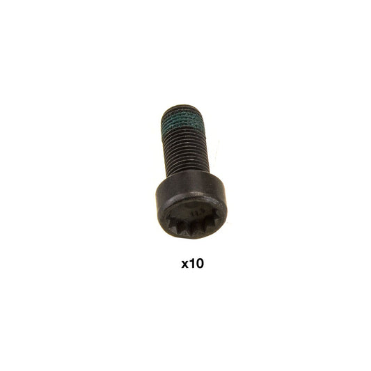 Luk Flywheel Bolt Set 10 Bolt 411 0133 12