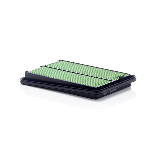 MANN Air Filter C25040
