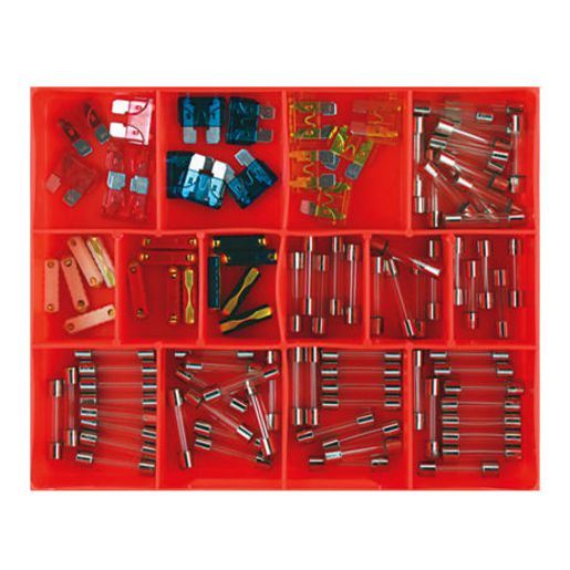 Champion Fasteners Glass 3-35 Amp Blade 10-20 Amp European 8-25 Amp Fuse CA105