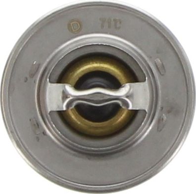 Dayco Thermostat DT15C-BP
