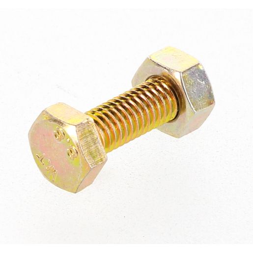 Champion Bolt & Nut Pack Metric M6 x 20mm BM22