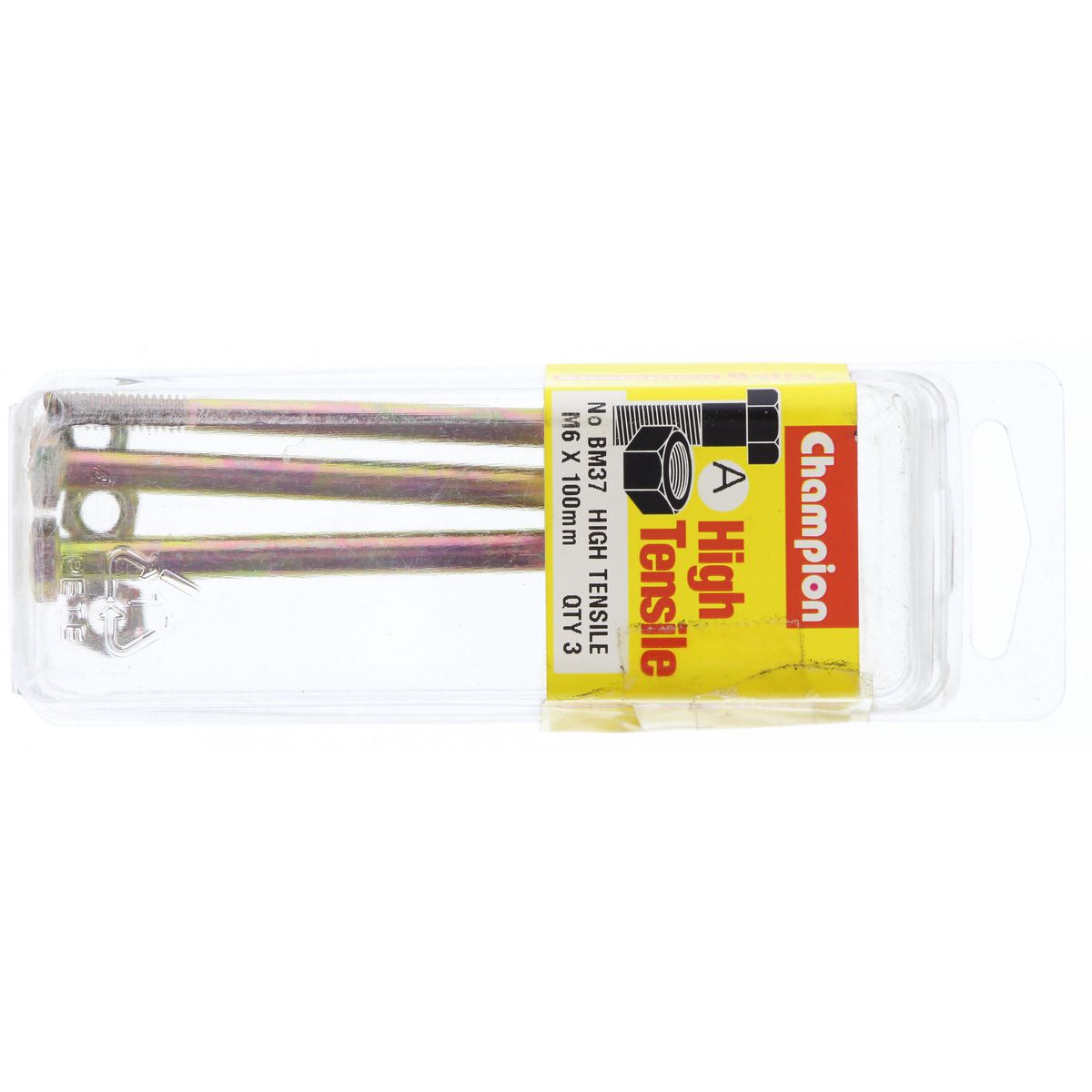 Champion Bolt & Nut Pack Metric M6 x 100mm BM37