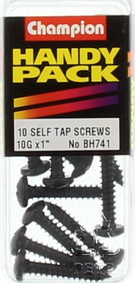 Champion Black Screw Self Tapp Panhead Phillips 4.8 x 25mm 10Pk BH741