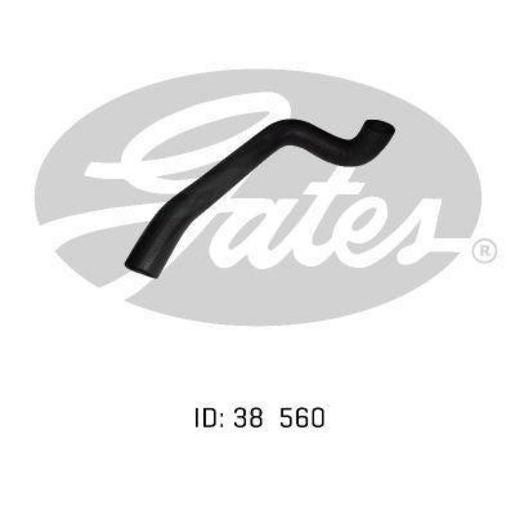 Gates Radiator Hose 05-0299