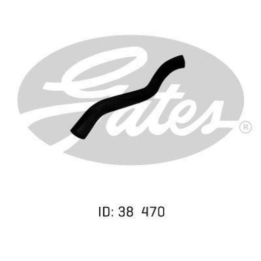 Gates Radiator Hose 05-0079