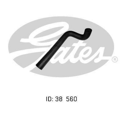Gates Radiator Hose 05-0111