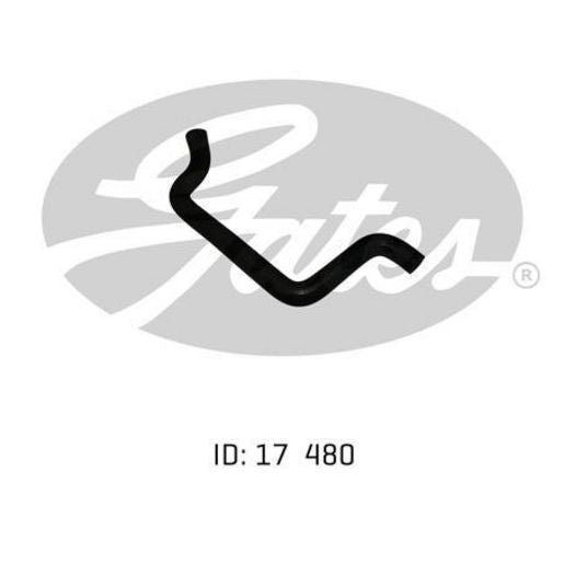 Gates Radiator Hose 02-0925