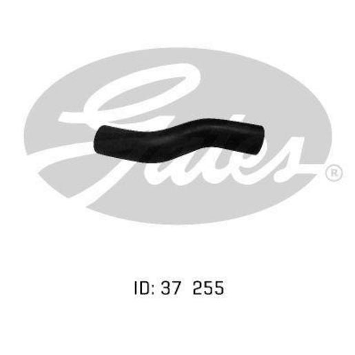 Gates Radiator Hose 05-0253
