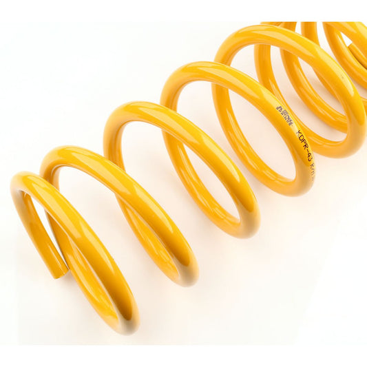Kelpro Plug-Welch Cup Brass 1/2 RBC012