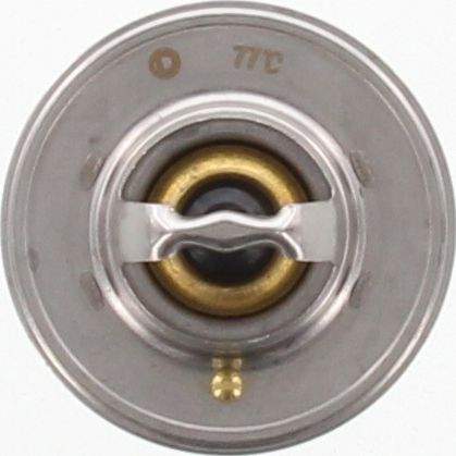 Dayco Thermostat DT57E