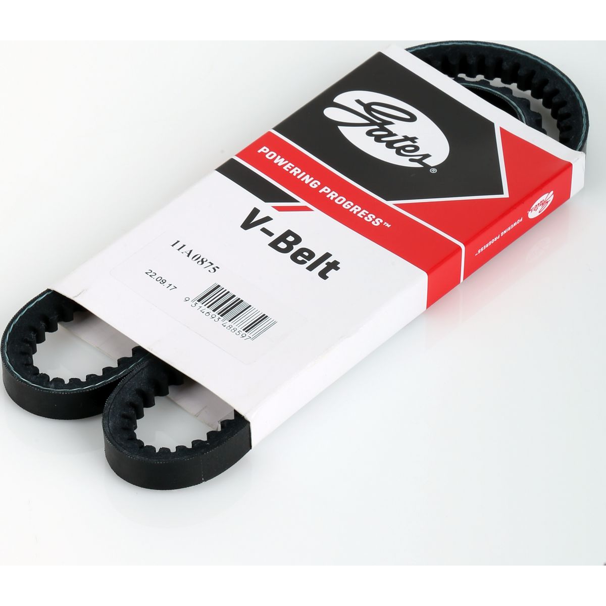 Dayco V-Belt 11A0875